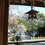 美保神社 社殿・境内(23)